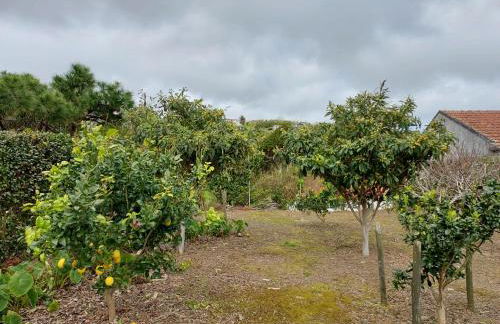 Retiro das Camélias 2 - Foto 21