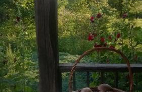 Jabłkowo-na skraju Puszczy Boreckiej ŚNIADANIA W CENIE - Foto 62