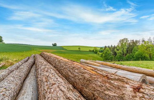 Ferienhaus 54 In Kirchheim - Foto 24