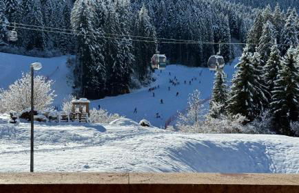 Appartamenti Rì de la Clama Andalo, Barbara - Foto 6