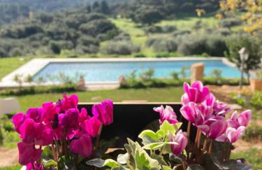 Agriturismo Is Conchisceddas - Foto 18