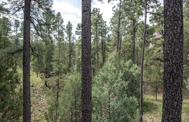 Lego House - Foto 14