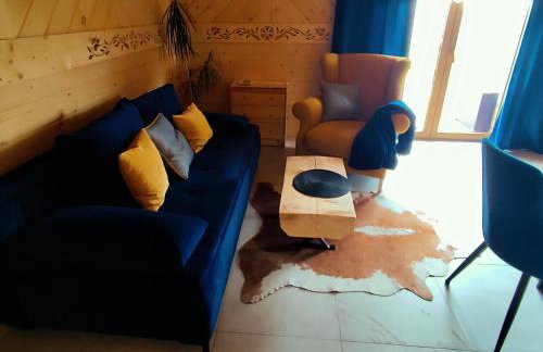 Zymbiańsko Chałupa 2 z jacuzzi - Foto 9