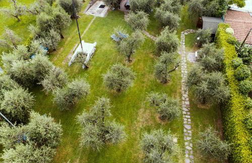 Lake experience! - Foto 23