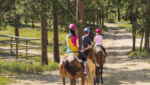 Passeio a Cavalo em Bodrum - Foto 4