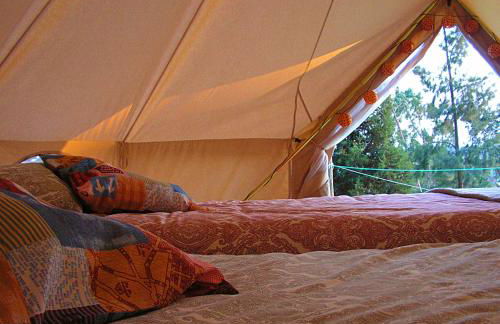 Herdade da Hera - Foto 47