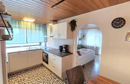 Monteur & Ferienapartment Leidenberger Parkplatz WLAN Kinderspielzimmer - Photo 27