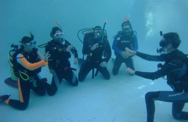 Coral Divers - Foto 12