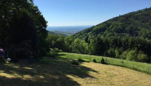Dachstudio in Traumlage mit spektakulärem Ausblick - Foto 5, Garden