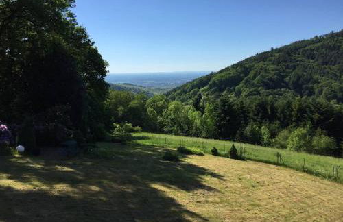Dachstudio in Traumlage mit spektakulärem Ausblick - Foto 5