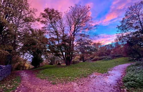 Cosy Studio on the Mendip Way - Foto 24