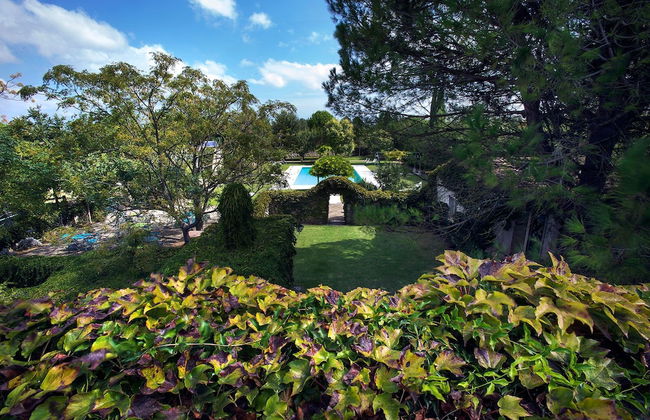 Tenuta Sant'Andrea - Foto 37