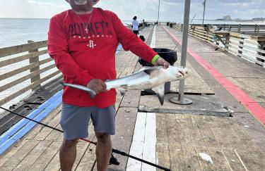 Amazing and Spectacular ocean and beach views in Galveston - Photo 44