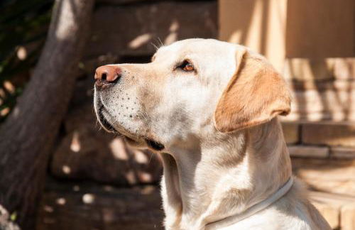 Alojamiento Ada - Foto 3