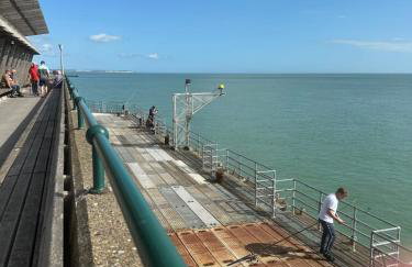 Shelley Beach - Foto 17