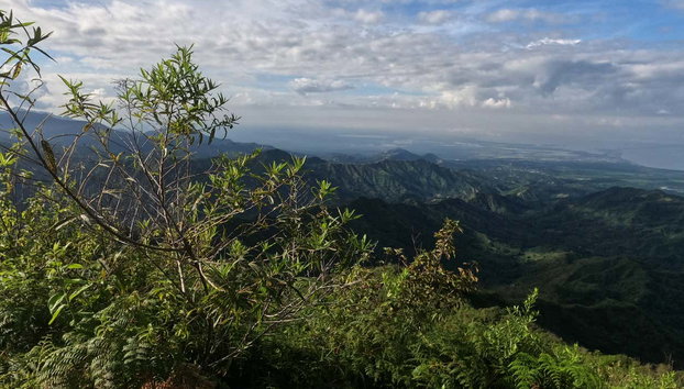 Tour del maracuyá por la Sierra Nevada de Santa Marta - Foto 3, Panorámica de la Sierra Nevada de Santa Marta