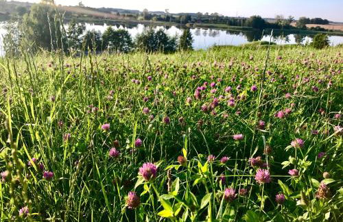Agroturystyka nad jeziorem Silickim Ilińscy - Foto 13