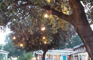 Villa Rosa - Foto 78