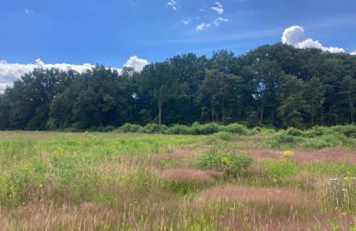 Haus der Ruhe zw. den Meeren - Foto 38