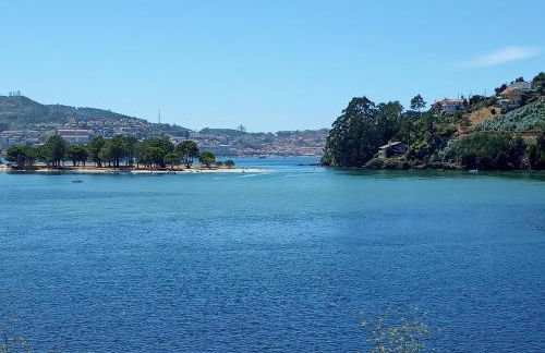 Casa silvosa - Photo 33