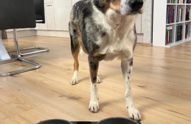 Ferienwohnung Lengenfeld - Foto 12