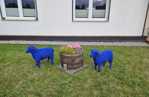 Ferienwohnung zu den Blauen Schafen - Foto 1