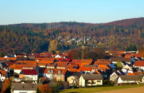 Natururlaub Frankenau - Foto 22