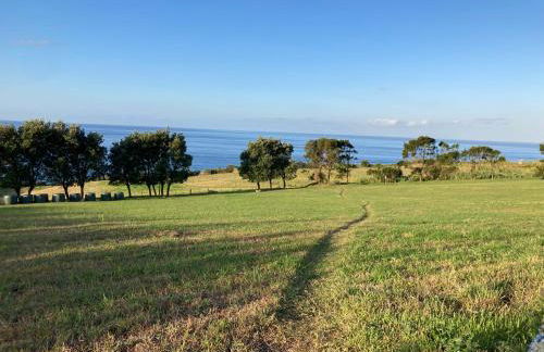 Quinta da Meia Eira - Photo 108