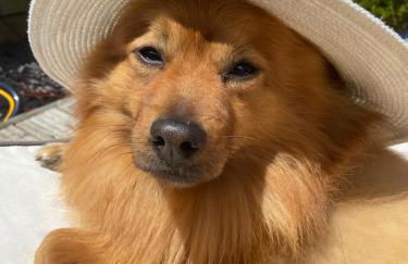 Keepers Lodge - Photo 37