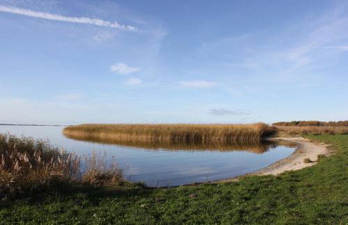 Ferienhaus Strandkiefer - Foto 6