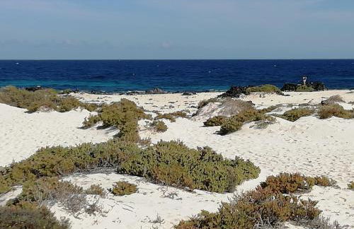 Rincón del descanso - Foto 12