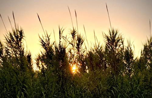 Atypique Ancien Hangar à Bateau - Foto 30