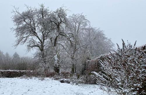 Belka am Rursee - Foto 23