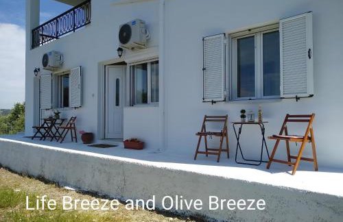 OLIVE BREEZE - Photo 28
