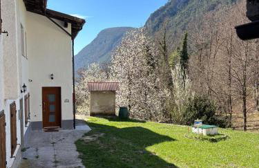 Al Belvedere sul Piave - Foto 28