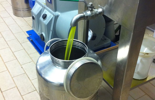 Agriturismo Policleto - Foto 21