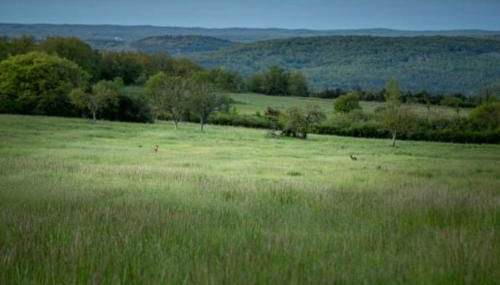 Les Trigones du Causse -Maison atypique avec Piscine Privée - Foto 5