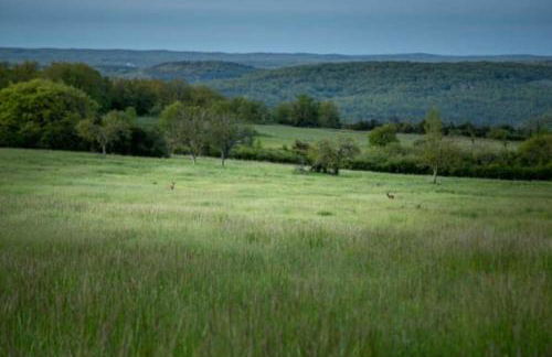 Les Trigones du Causse -Maison atypique avec Piscine Privée - Foto 5