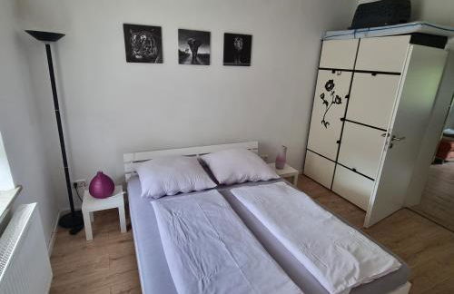 (Ferien-)Wohnung im schönen Fichtelgebirge - Foto 19