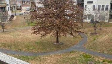 Sunny townhouse 3 bedroom walk to shops - Foto 4, Garden view