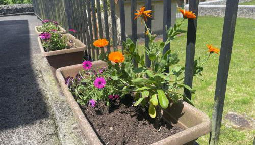 El Campón, Collía - Foto 2, Garden, Garden view