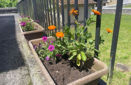 El Campón, Collía - Photo 2