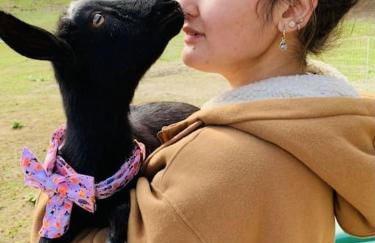 Luxury Farm Stay-Bonds Corner Bungalow-Wolf Pine Hollow - Foto 24