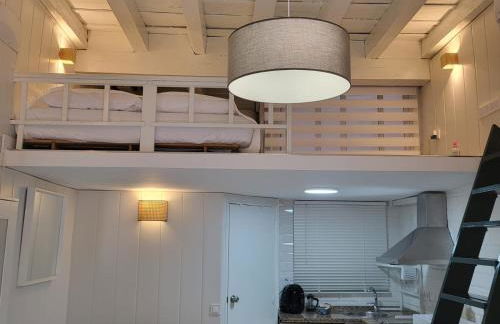 Coliseo setas - Foto 8