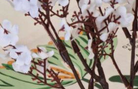 Kofinaki apartment 2 - Tychero Evros - Foto 10