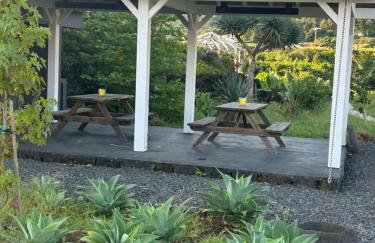 Cá Por Casa Pico-Azevinho - Foto 30