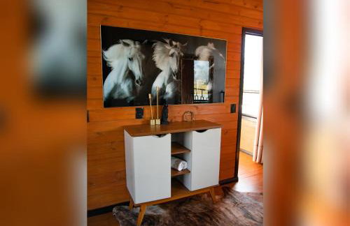 CABANA HORSES LA CONTEMPORANEA- vista ponto turístico Pedra Morro do Campestre -Asfalto até a Cabana - Photo 42