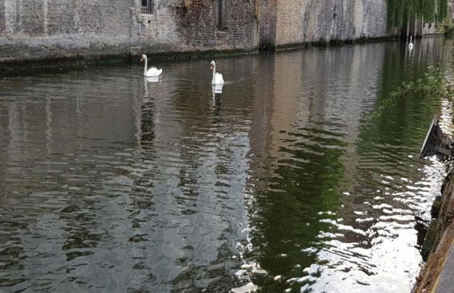 Sunny Escape by the Shore - Photo 27