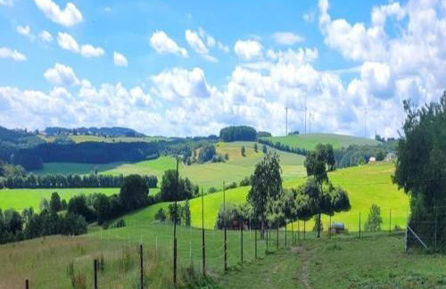 Chalet in Reinskopf With Fireplace - Foto 58
