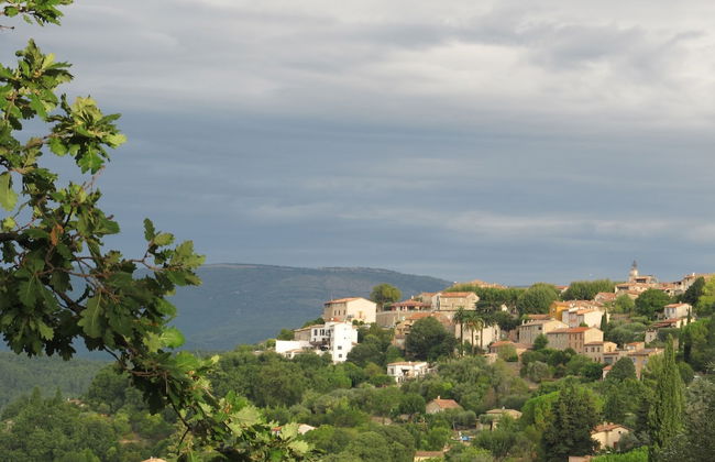 La Chesnaie - Foto 36